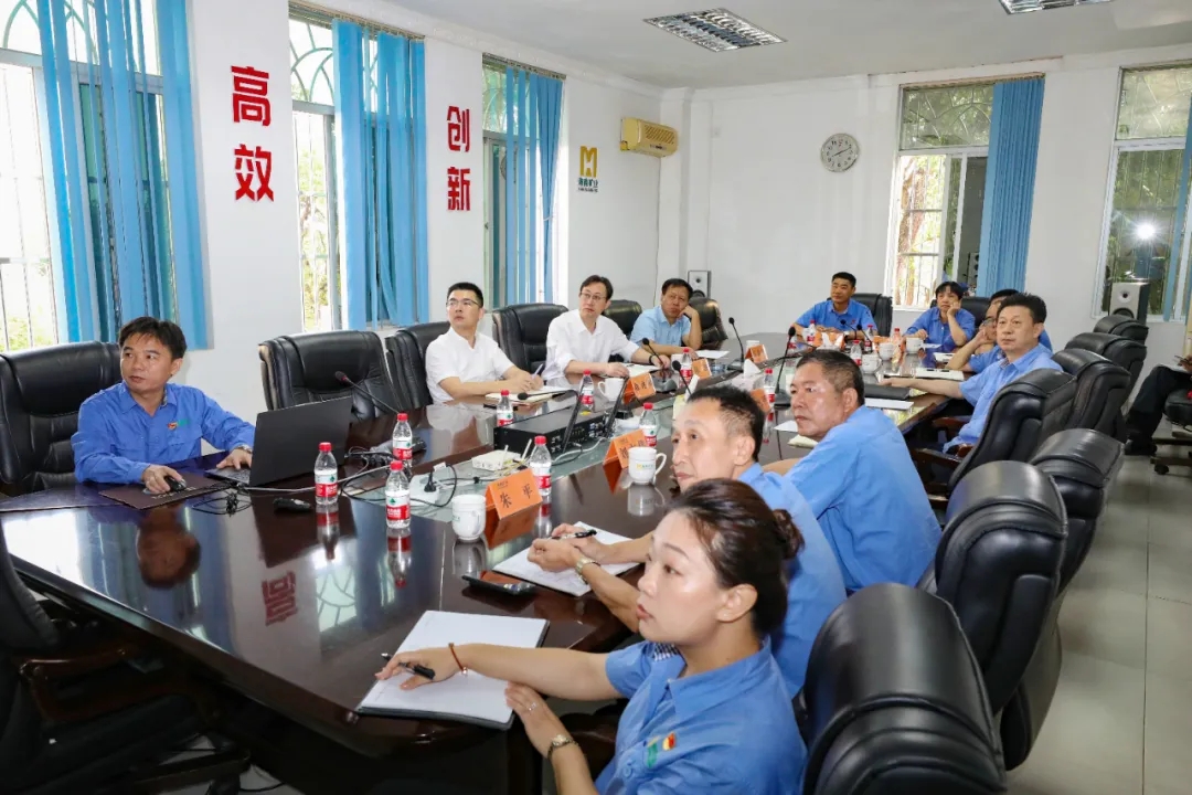海南省總工會(huì)副主席陳波一行到海南礦業(yè)調(diào)研指導(dǎo)1.webp.jpg
