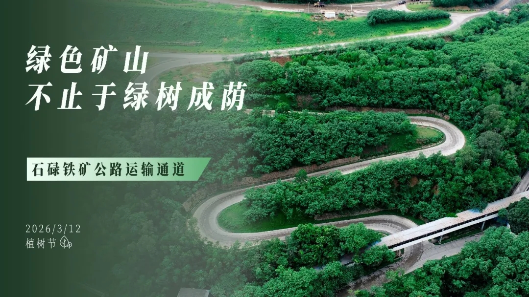 植樹節(jié) | 綠色礦山，不止于綠樹成蔭